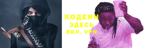 СК Новозыбков