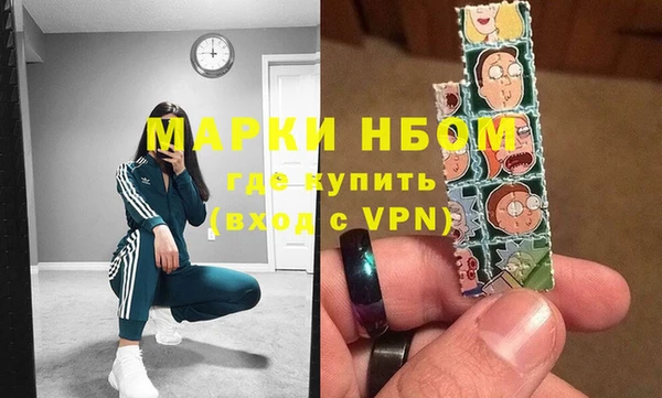 СК Новозыбков
