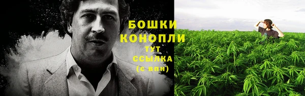 СК Новозыбков