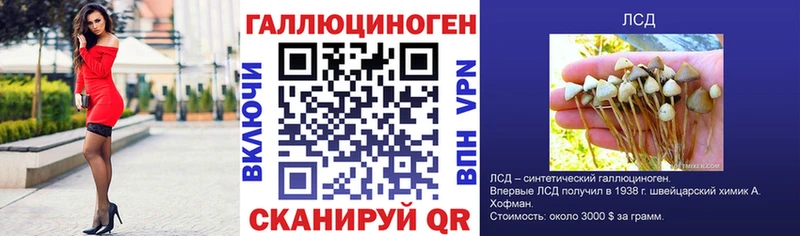 Псилоцибиновые грибы Magic Shrooms  Новомичуринск 